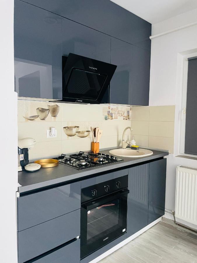 Timisoara Central Apartment New Parking !! 외부 사진