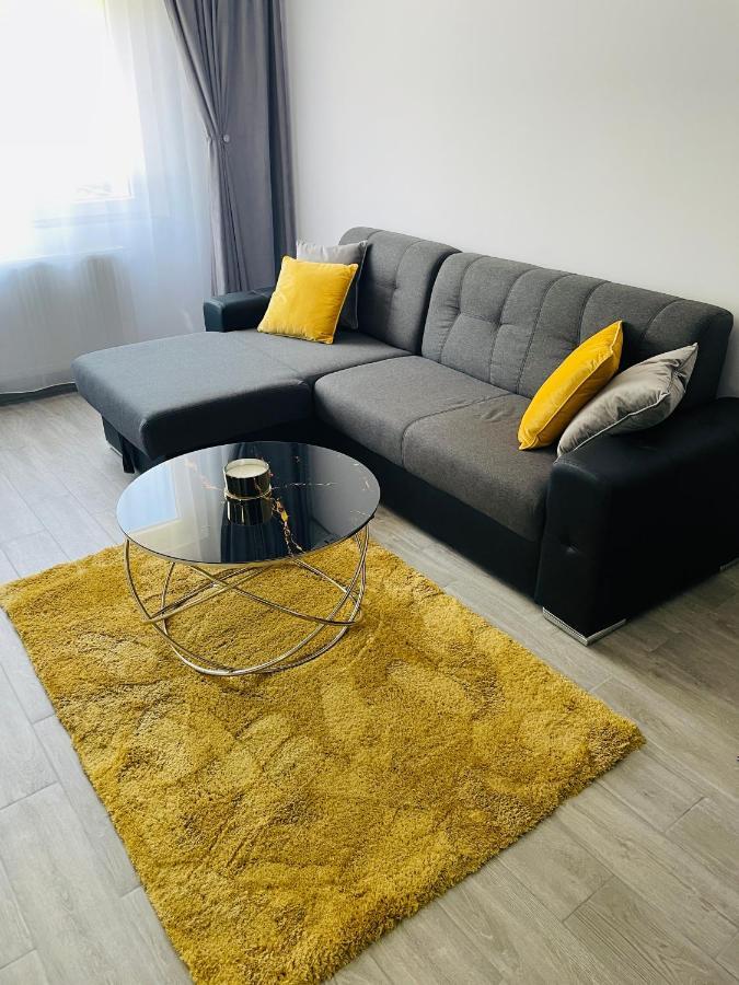 Timisoara Central Apartment New Parking !! 외부 사진