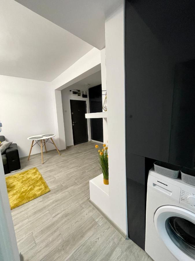 Timisoara Central Apartment New Parking !! 외부 사진