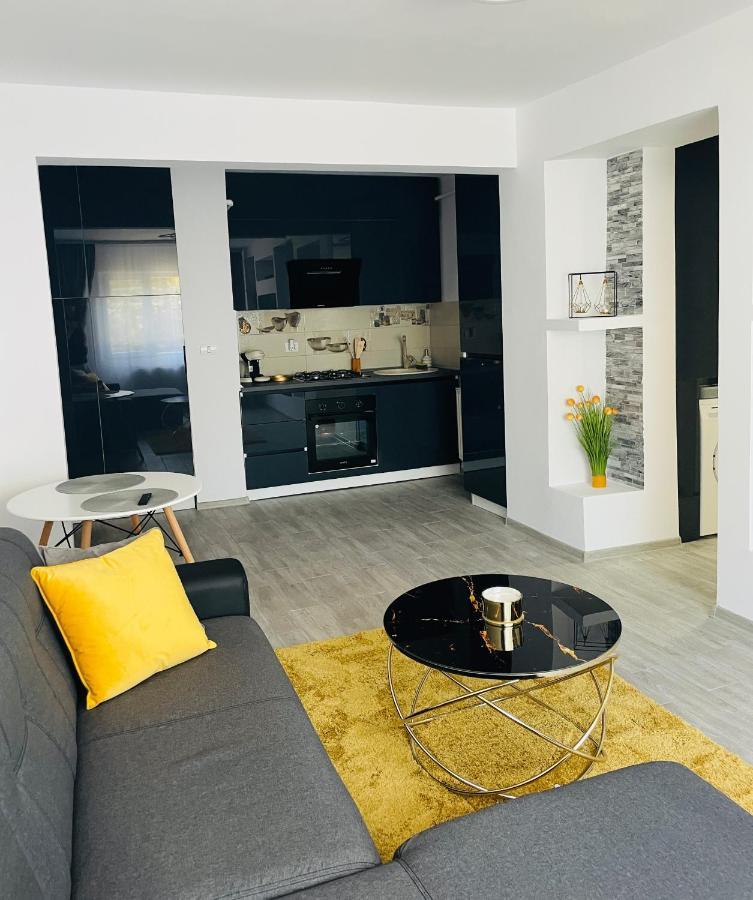 Timisoara Central Apartment New Parking !! 외부 사진