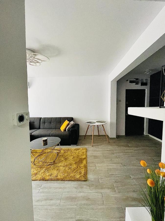 Timisoara Central Apartment New Parking !! 외부 사진