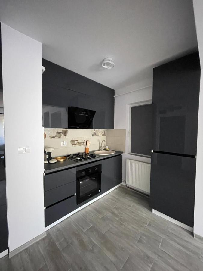 Timisoara Central Apartment New Parking !! 외부 사진