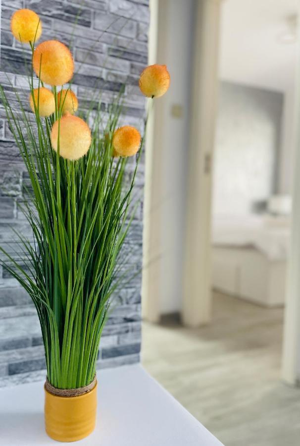 Timisoara Central Apartment New Parking !! 외부 사진