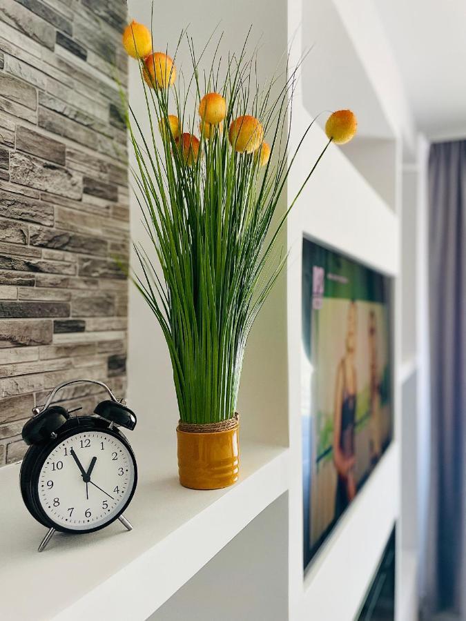 Timisoara Central Apartment New Parking !! 외부 사진